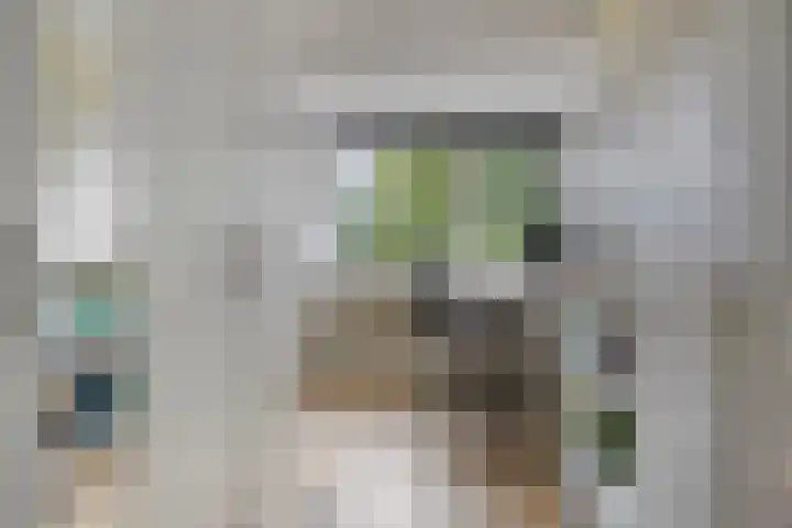 Socrateslaan 41 's-Hertogenbosch thumbnail 16