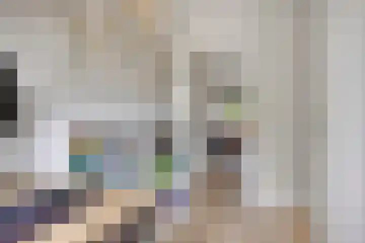 Socrateslaan 41 's-Hertogenbosch thumbnail 17