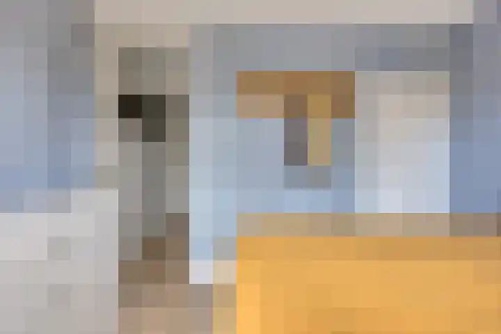 Socrateslaan 41 's-Hertogenbosch thumbnail 20