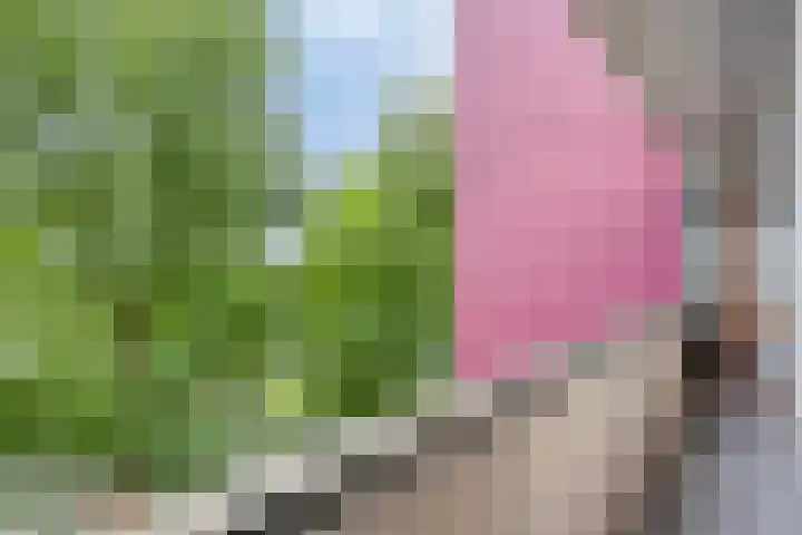 Socrateslaan 41 's-Hertogenbosch thumbnail 21