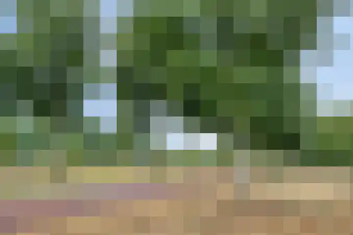 Socrateslaan 41 's-Hertogenbosch thumbnail 23