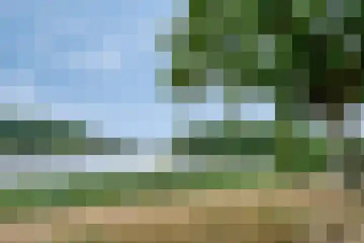 Socrateslaan 41 's-Hertogenbosch thumbnail 24