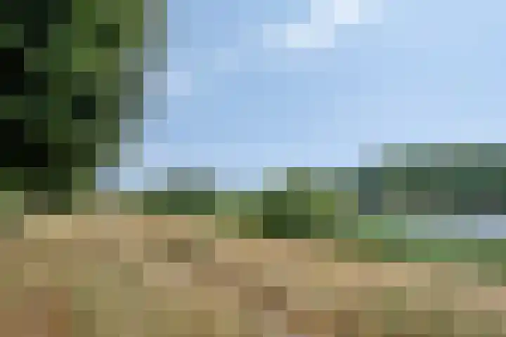 Socrateslaan 41 's-Hertogenbosch thumbnail 25