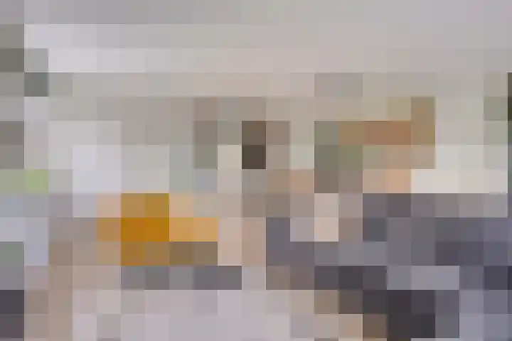 Socrateslaan 41 's-Hertogenbosch thumbnail 5