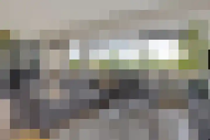 Socrateslaan 41 's-Hertogenbosch thumbnail 7