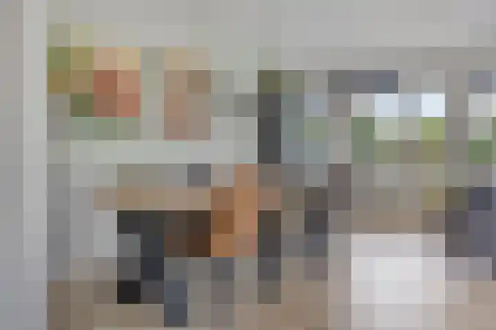Socrateslaan 41 's-Hertogenbosch thumbnail 8