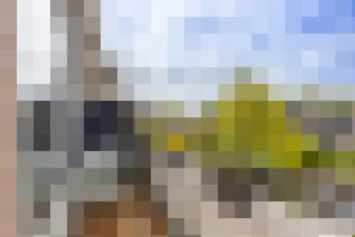 Socrateslaan 42 Utrecht thumbnail 11