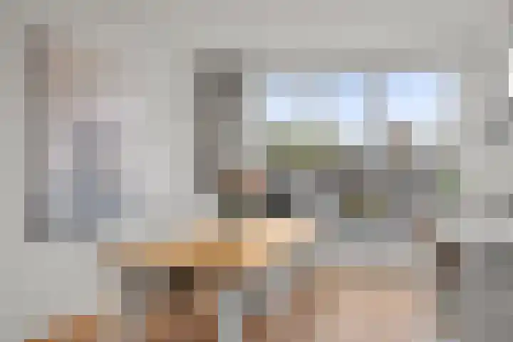 Socrateslaan 42 Utrecht thumbnail 35
