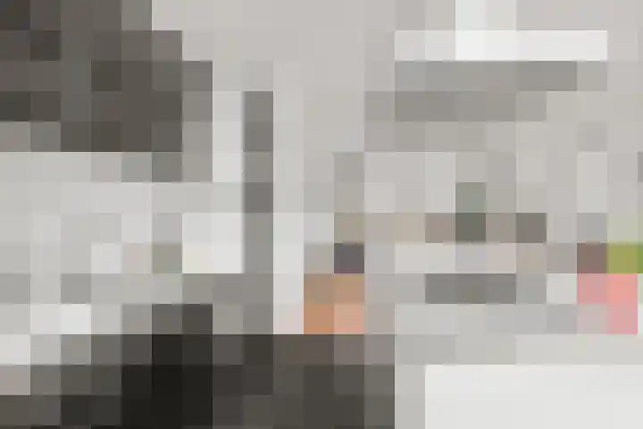 Socrateslaan 42 Utrecht thumbnail 40