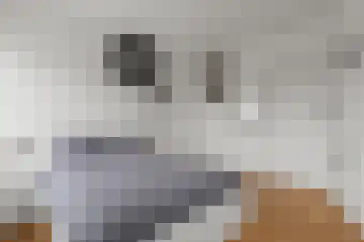 Socrateslaan 42 Utrecht thumbnail 49