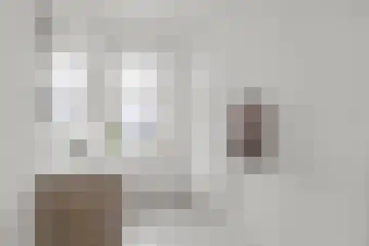 Socrateslaan 42 Utrecht thumbnail 50
