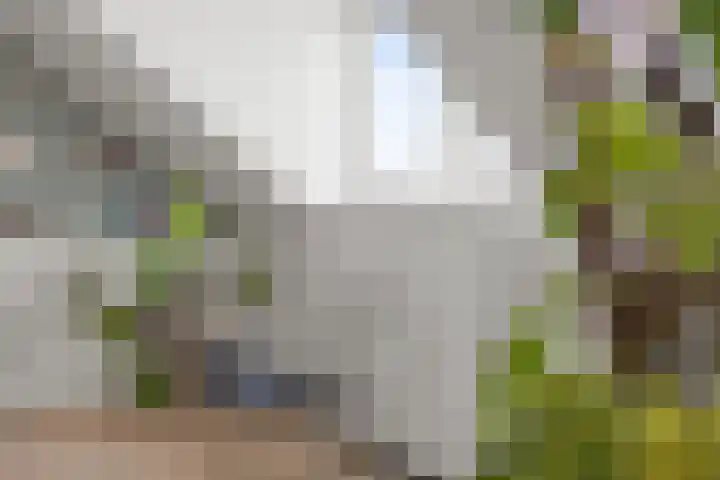 Socrateslaan 42 Utrecht thumbnail 58