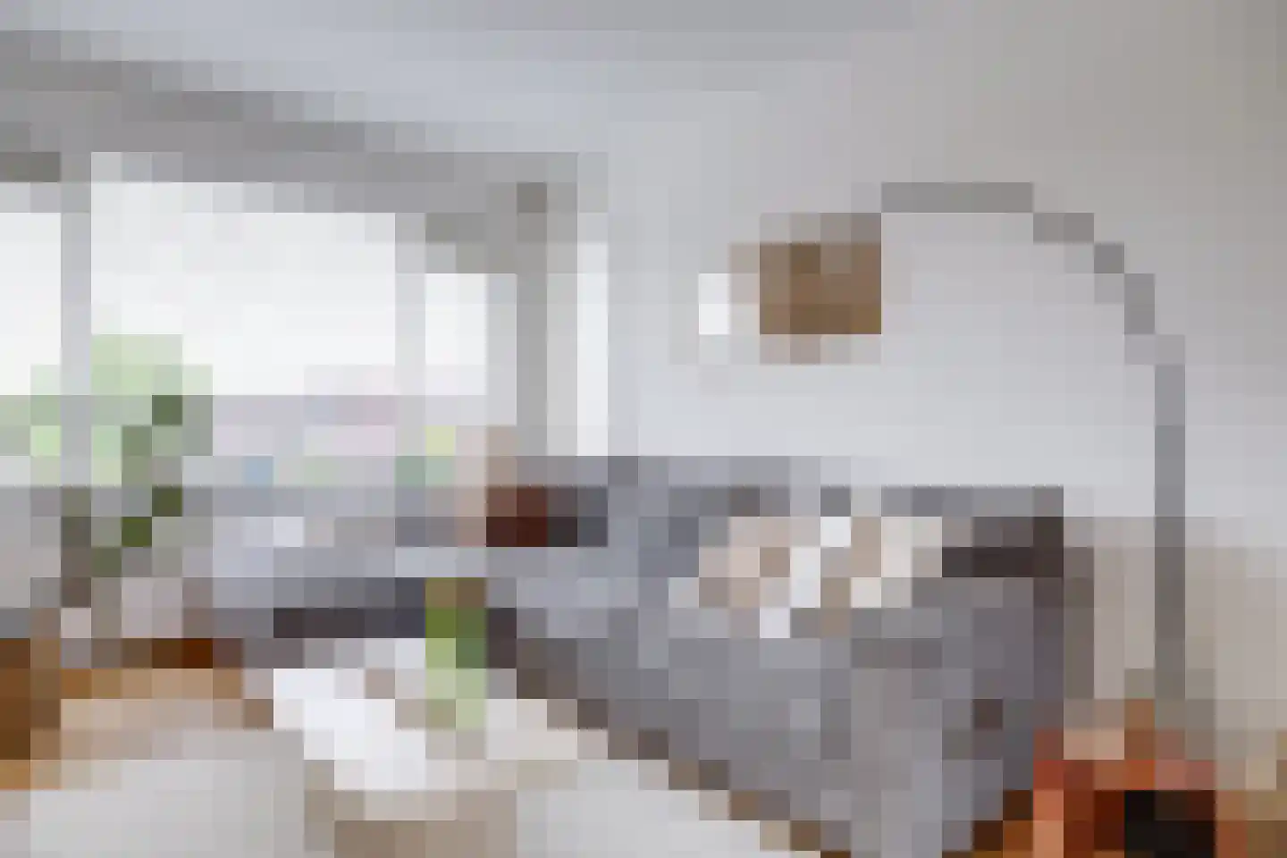 Socrateslaan 48 Utrecht thumbnail 11