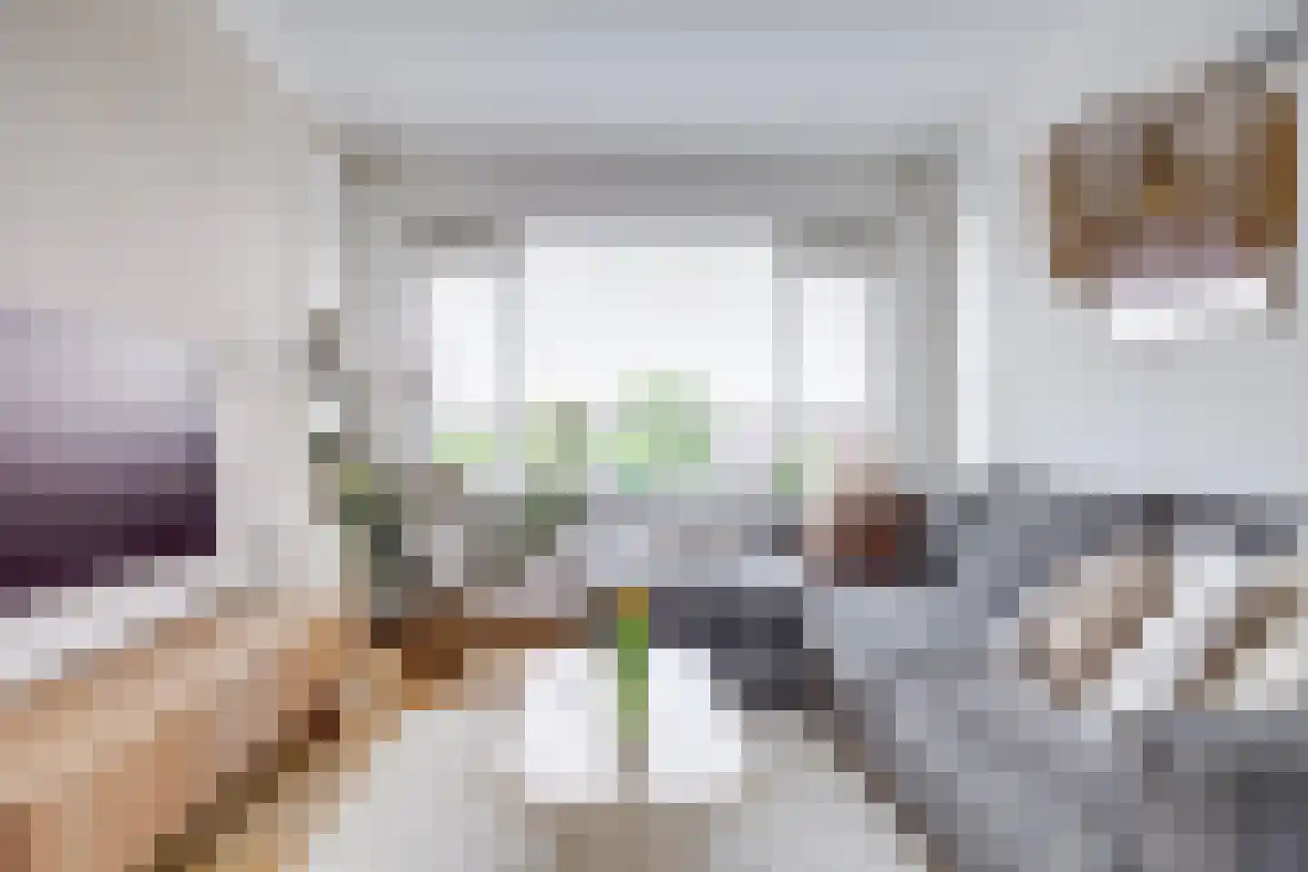 Socrateslaan 48 Utrecht thumbnail 12