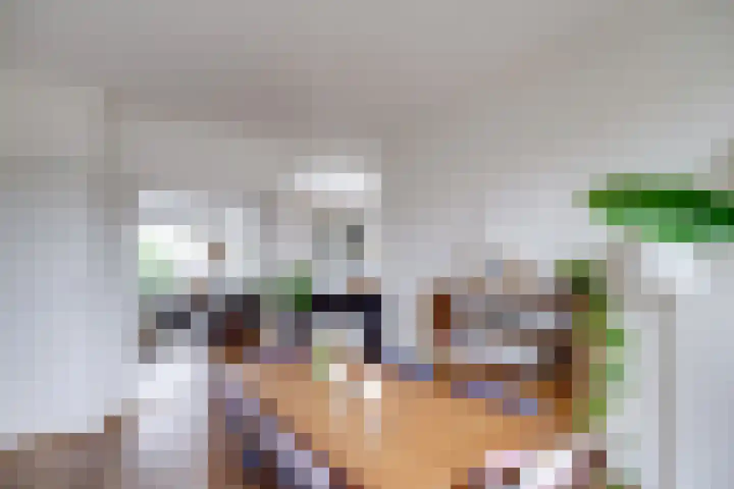 Socrateslaan 48 Utrecht thumbnail 17