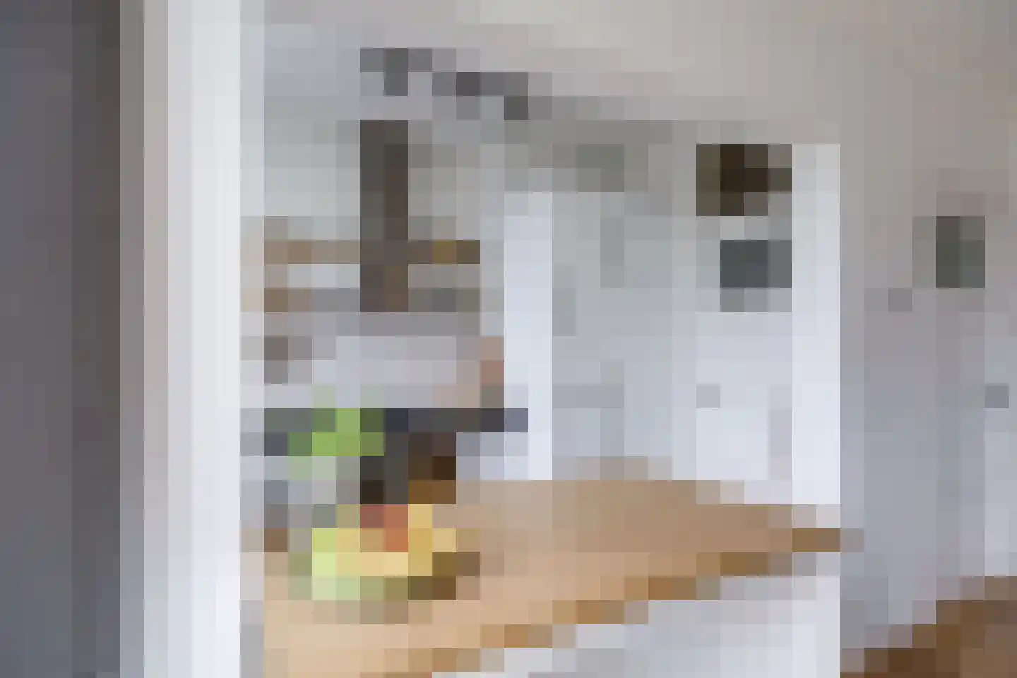 Socrateslaan 48 Utrecht thumbnail 22