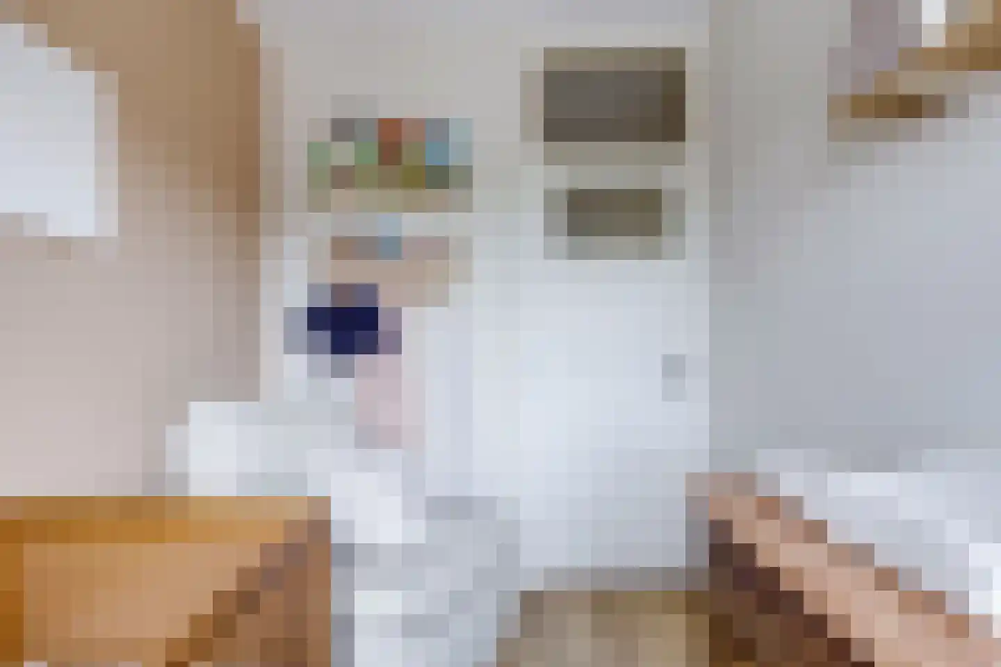 Socrateslaan 48 Utrecht thumbnail 30