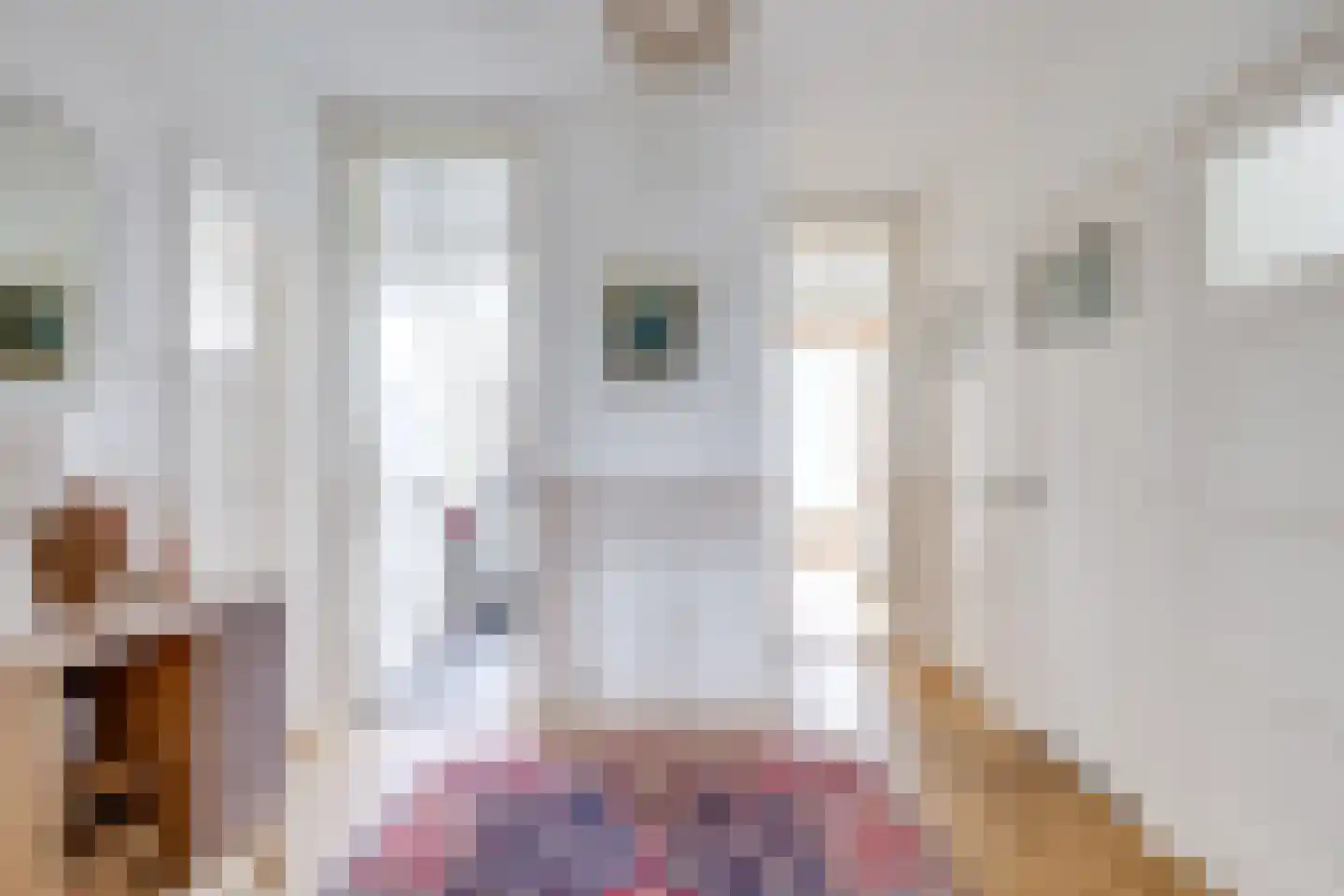 Socrateslaan 48 Utrecht thumbnail 31