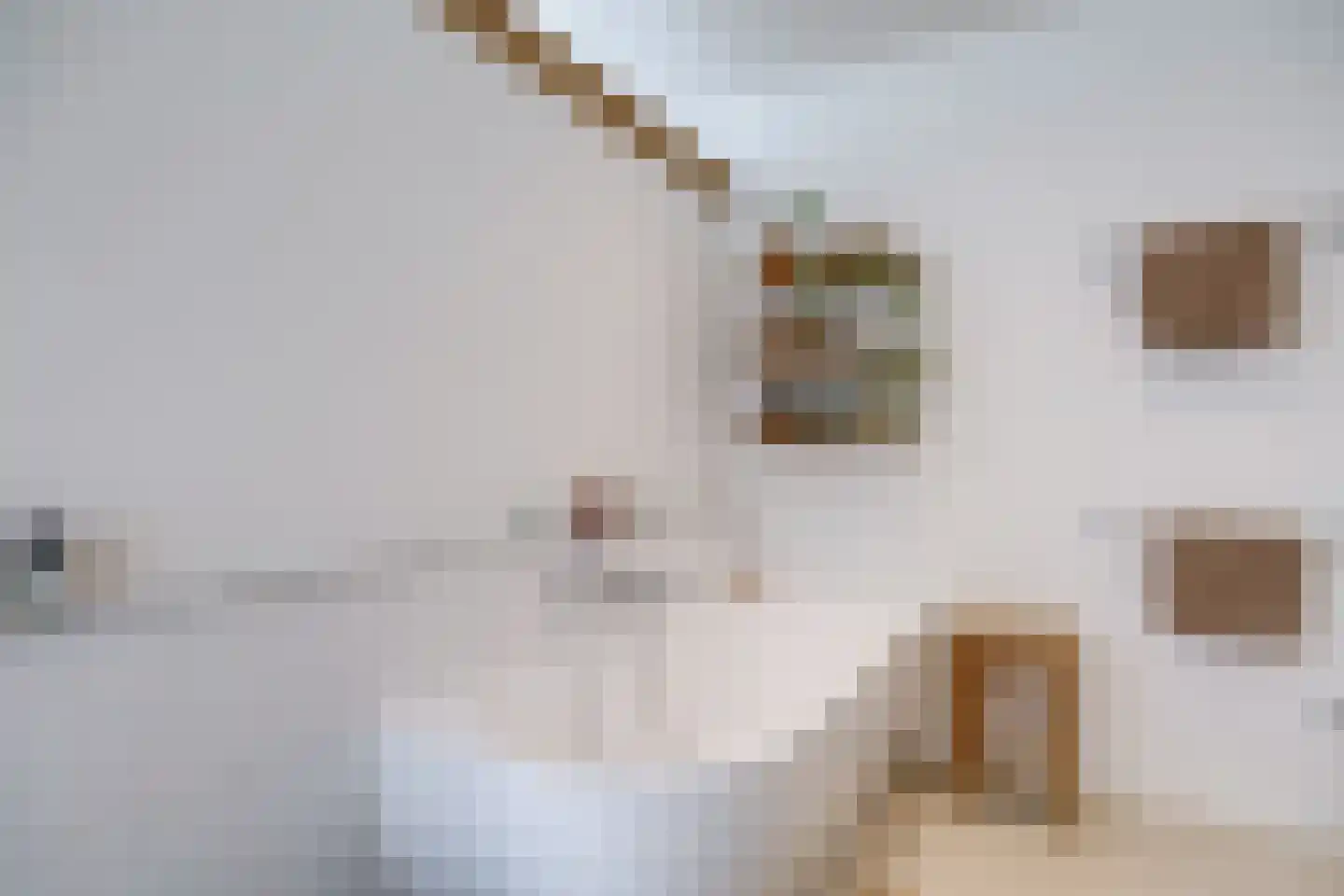 Socrateslaan 48 Utrecht thumbnail 33
