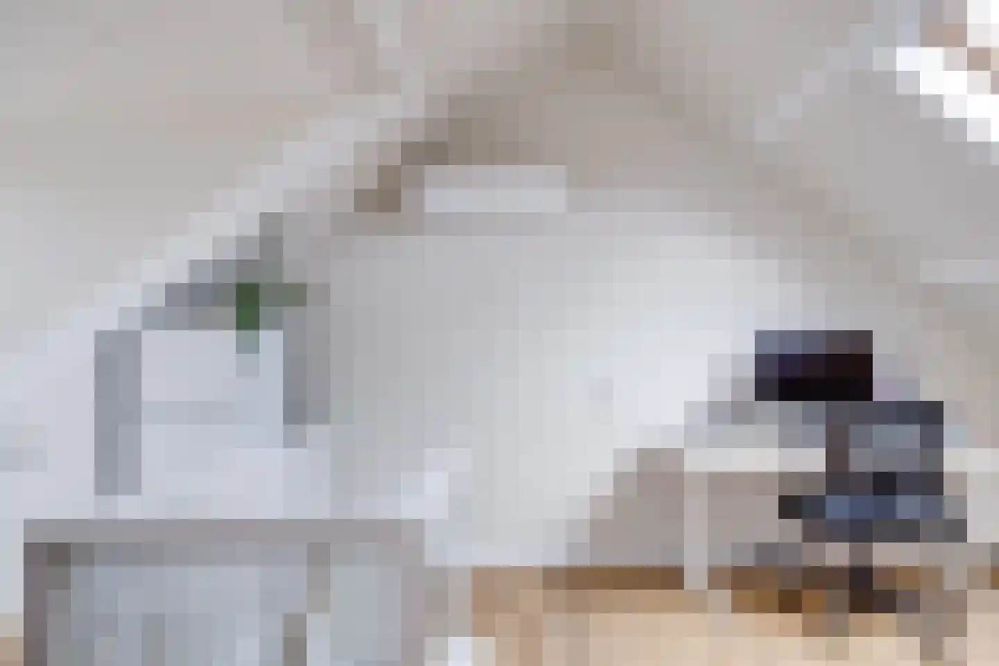 Socrateslaan 48 Utrecht thumbnail 42