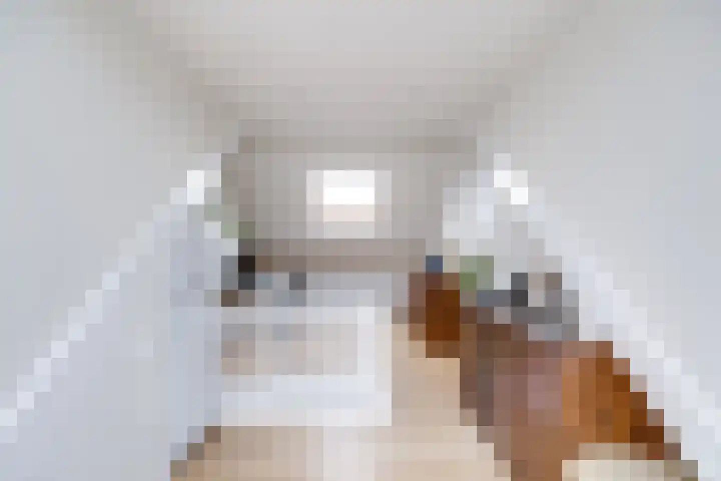 Socrateslaan 48 Utrecht thumbnail 45