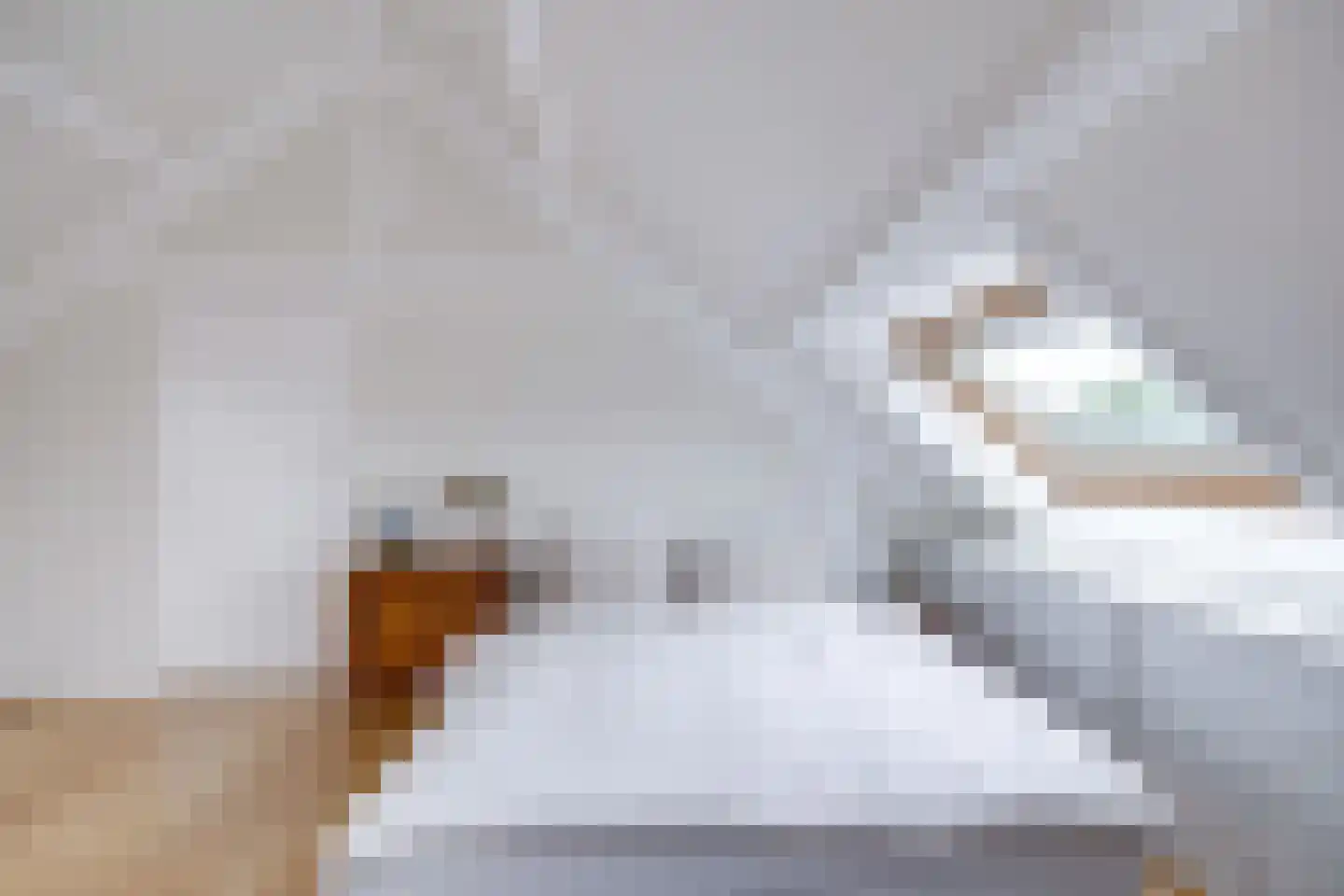 Socrateslaan 48 Utrecht thumbnail 52