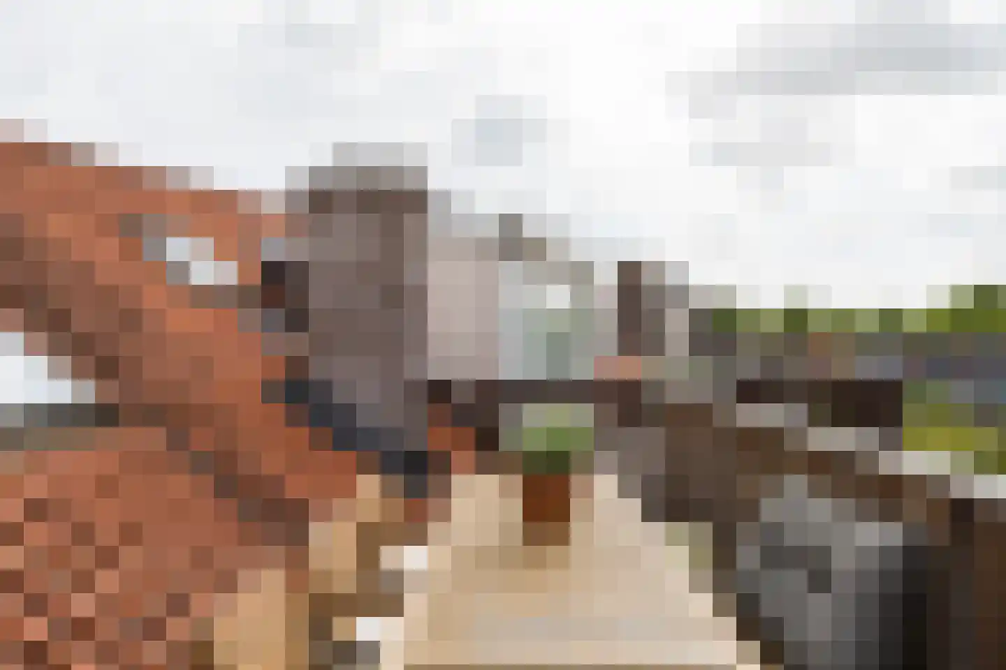 Socrateslaan 48 Utrecht thumbnail 58