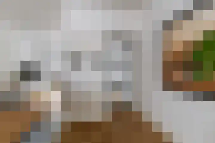 Socrateslaan 5 Utrecht thumbnail 11