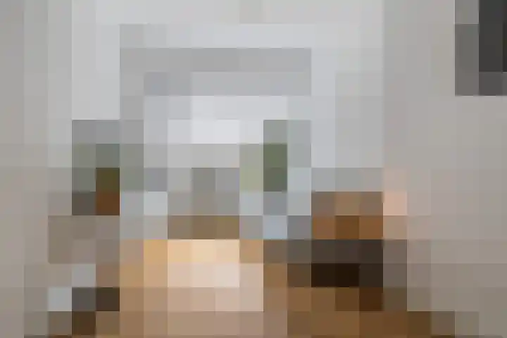 Socrateslaan 5 Utrecht thumbnail 13