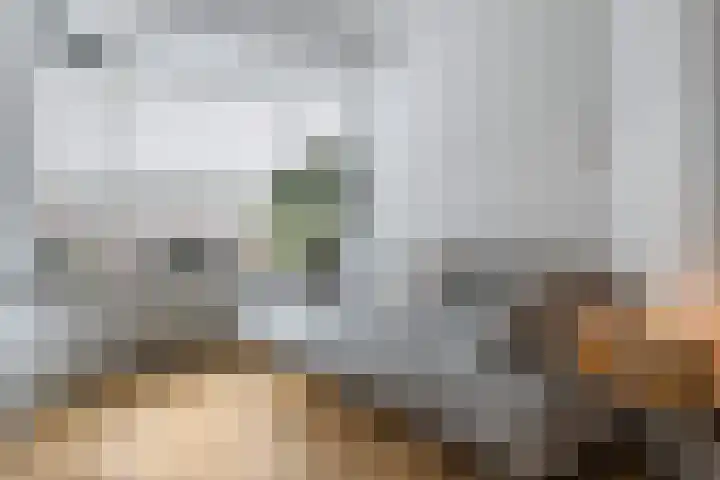 Socrateslaan 5 Utrecht thumbnail 14