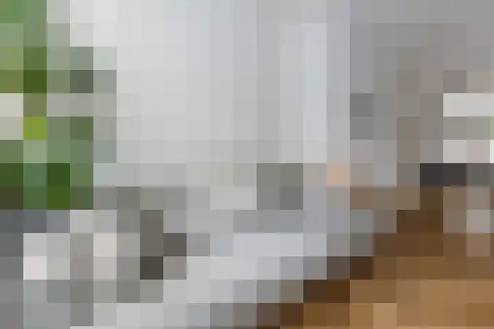 Socrateslaan 5 Utrecht thumbnail 15