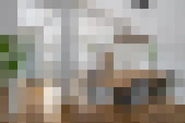 Socrateslaan 5 Utrecht thumbnail 18