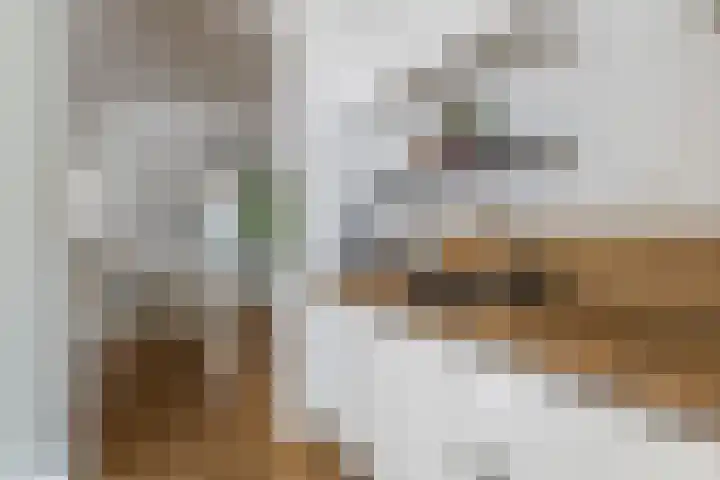 Socrateslaan 5 Utrecht thumbnail 31