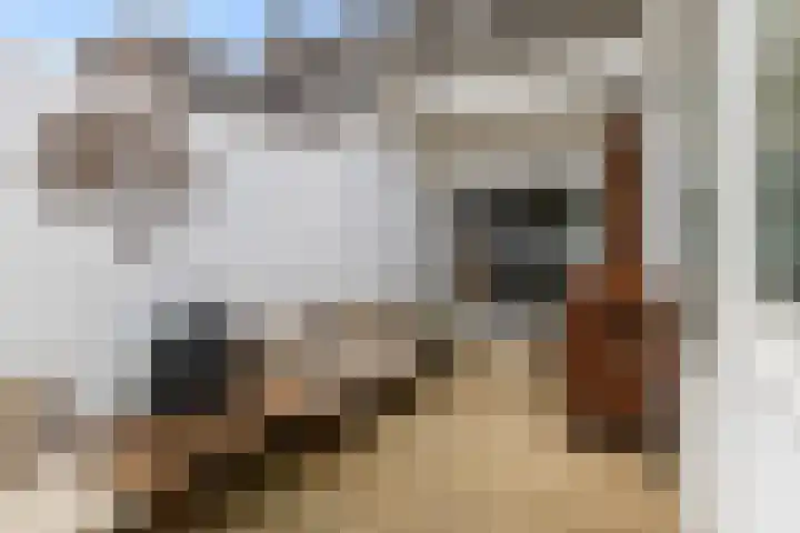 Socrateslaan 5 Utrecht thumbnail 37