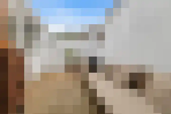 Socrateslaan 5 Utrecht thumbnail 38