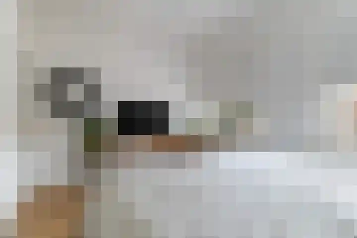 Socrateslaan 5 Utrecht thumbnail 44