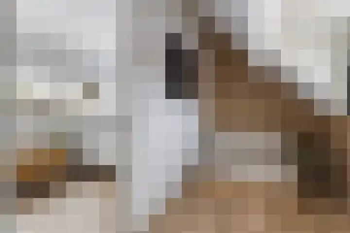 Socrateslaan 5 Utrecht thumbnail 53