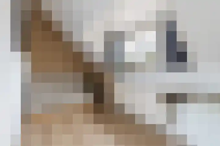 Socrateslaan 5 Utrecht thumbnail 54