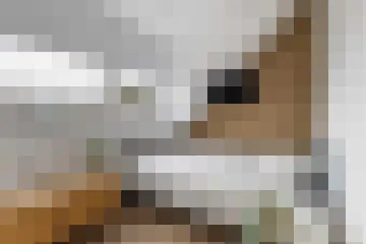 Socrateslaan 5 Utrecht thumbnail 57