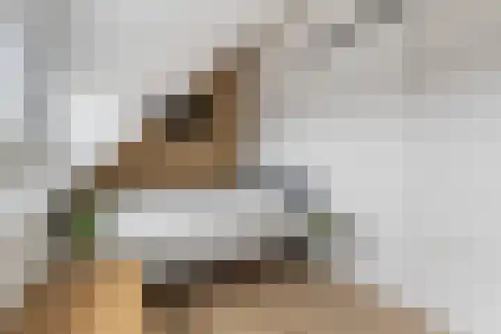 Socrateslaan 5 Utrecht thumbnail 58