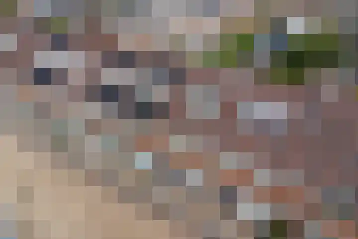 Socrateslaan 5 Utrecht thumbnail 60