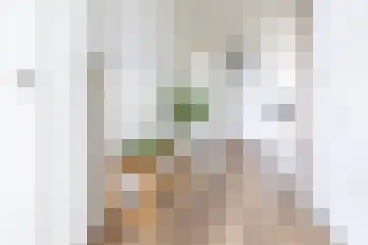 Socrateslaan 55 's-Hertogenbosch thumbnail 13