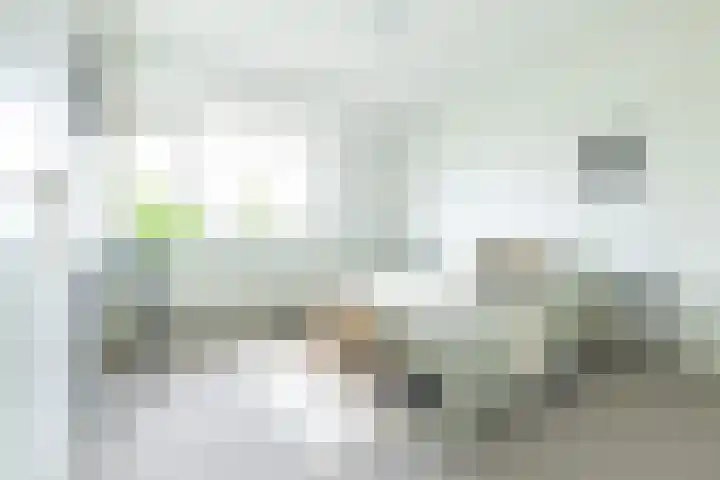 Socrateslaan 55 's-Hertogenbosch thumbnail 14