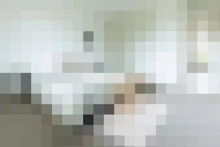 Socrateslaan 55 's-Hertogenbosch thumbnail 15