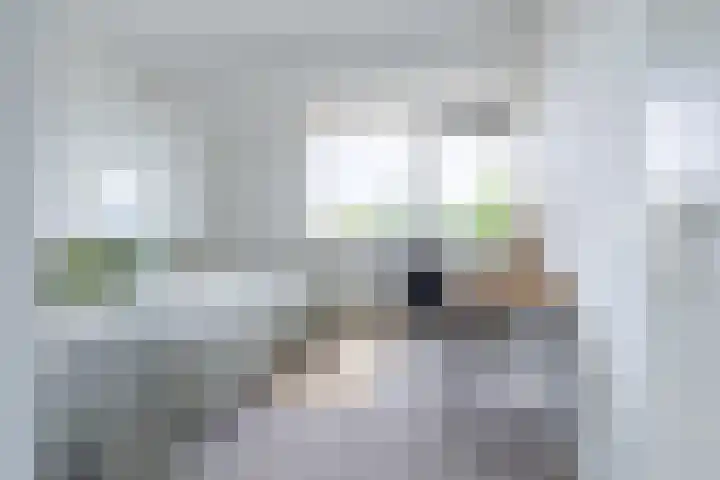 Socrateslaan 55 's-Hertogenbosch thumbnail 19