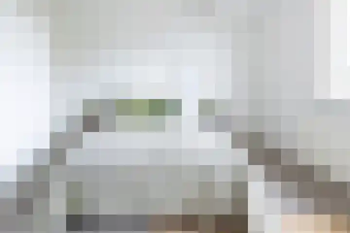 Socrateslaan 55 's-Hertogenbosch thumbnail 20