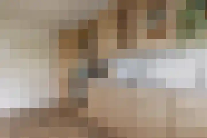 Socrateslaan 55 's-Hertogenbosch thumbnail 23