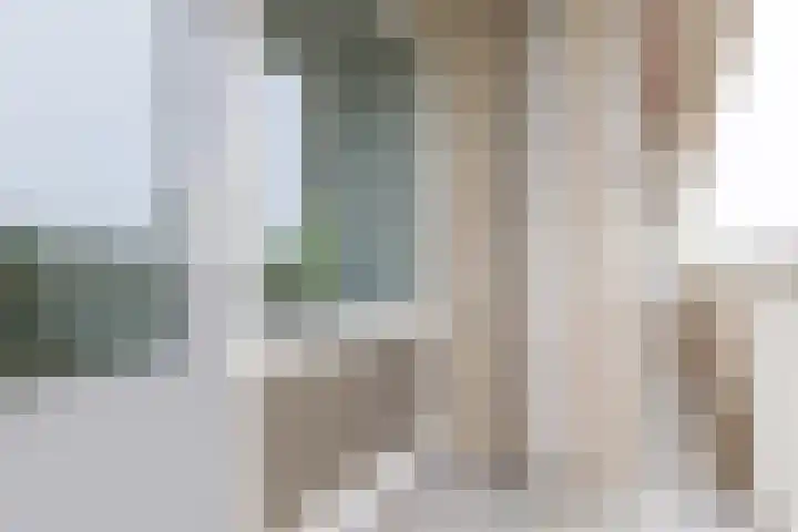 Socrateslaan 55 's-Hertogenbosch thumbnail 24