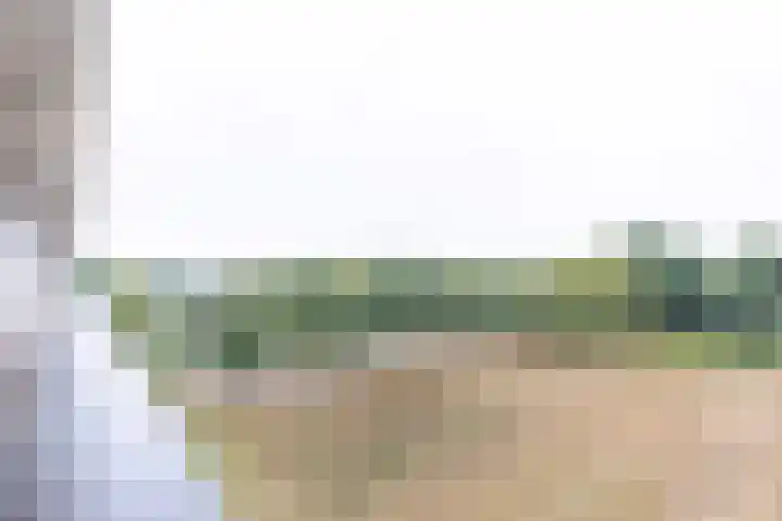 Socrateslaan 55 's-Hertogenbosch thumbnail 25