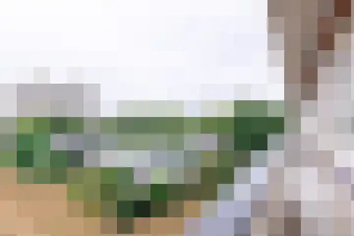 Socrateslaan 55 's-Hertogenbosch thumbnail 26